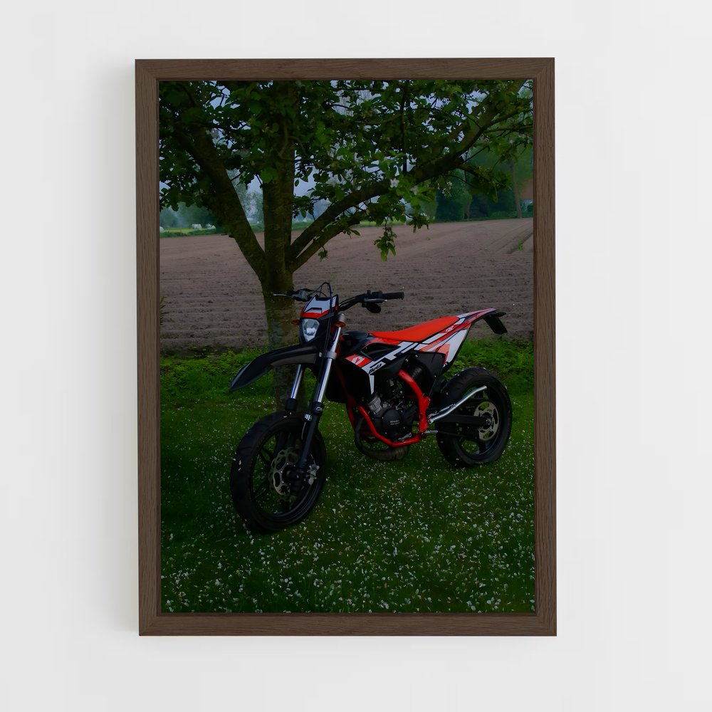 ap-beta rr-4 cadre Bois foncé