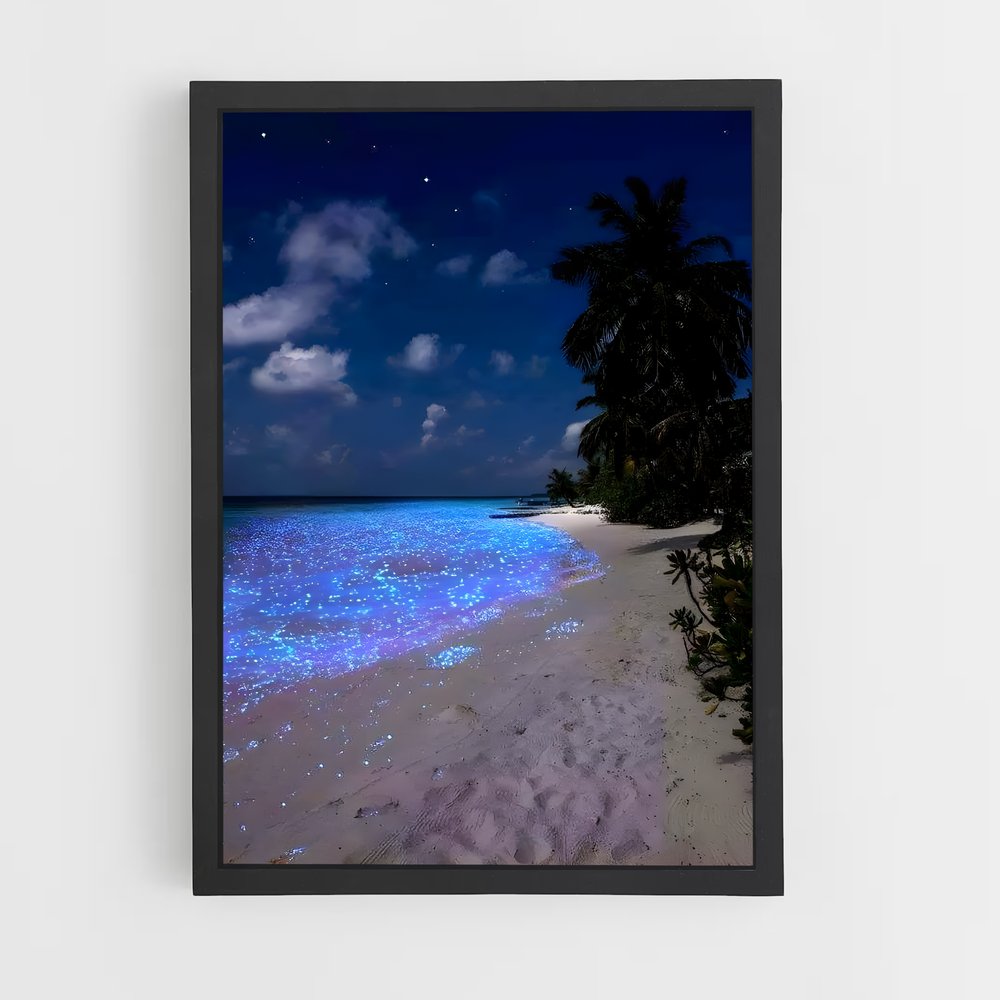 ap-bioluminescent beaches-10 cadre Noir