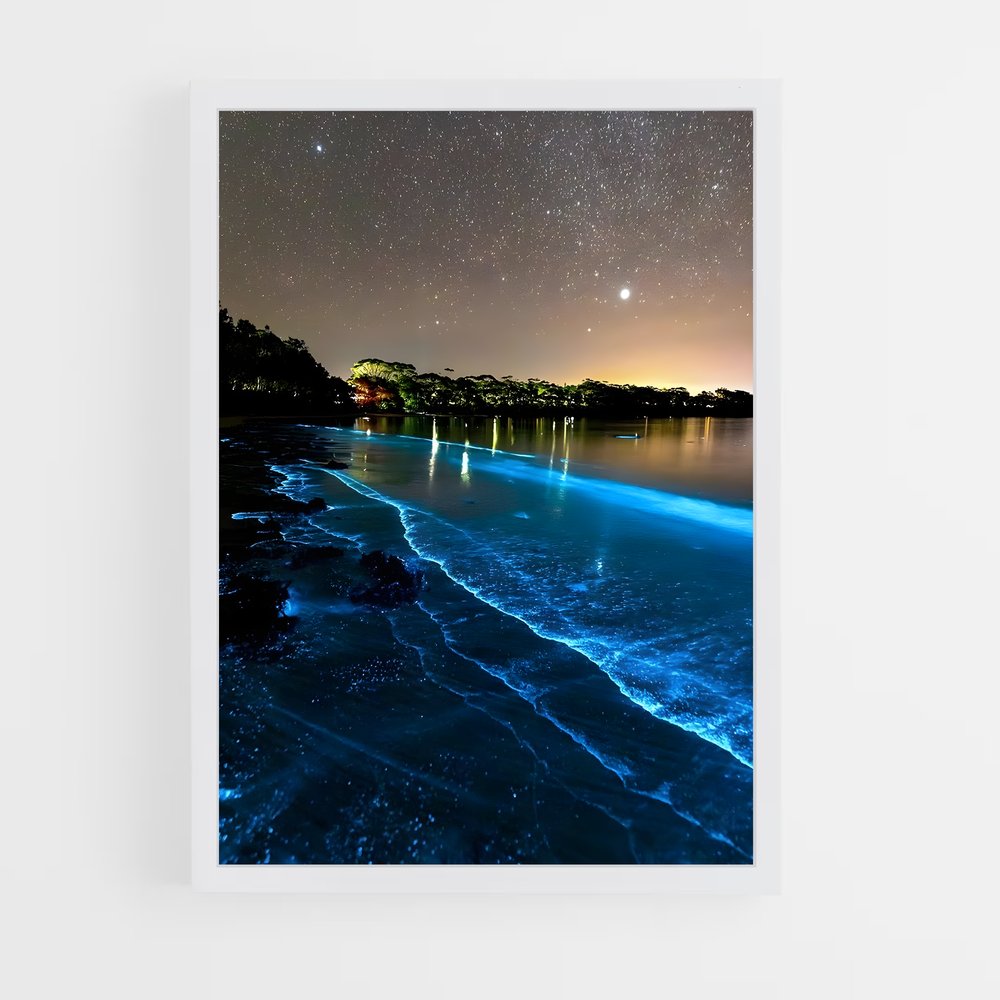 ap-bioluminescent beaches-19 cadre Blanc
