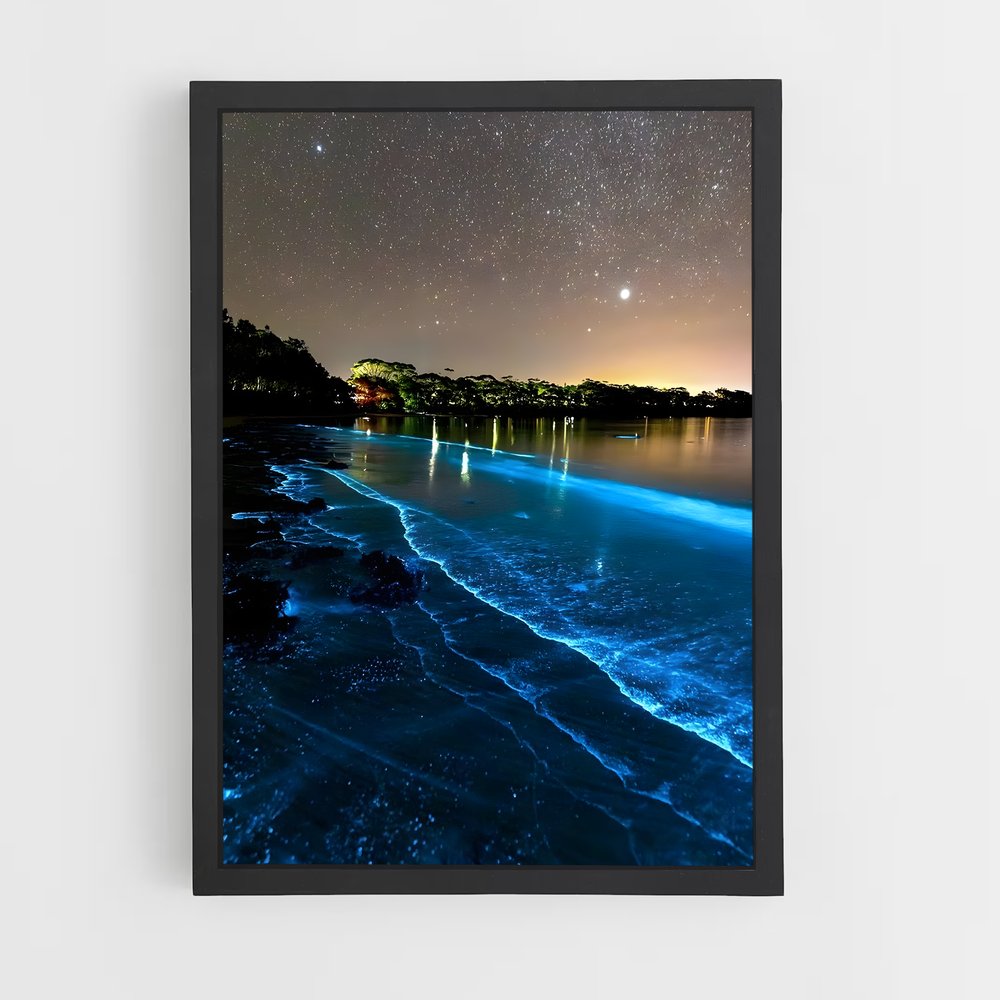 ap-bioluminescent beaches-19 cadre Noir