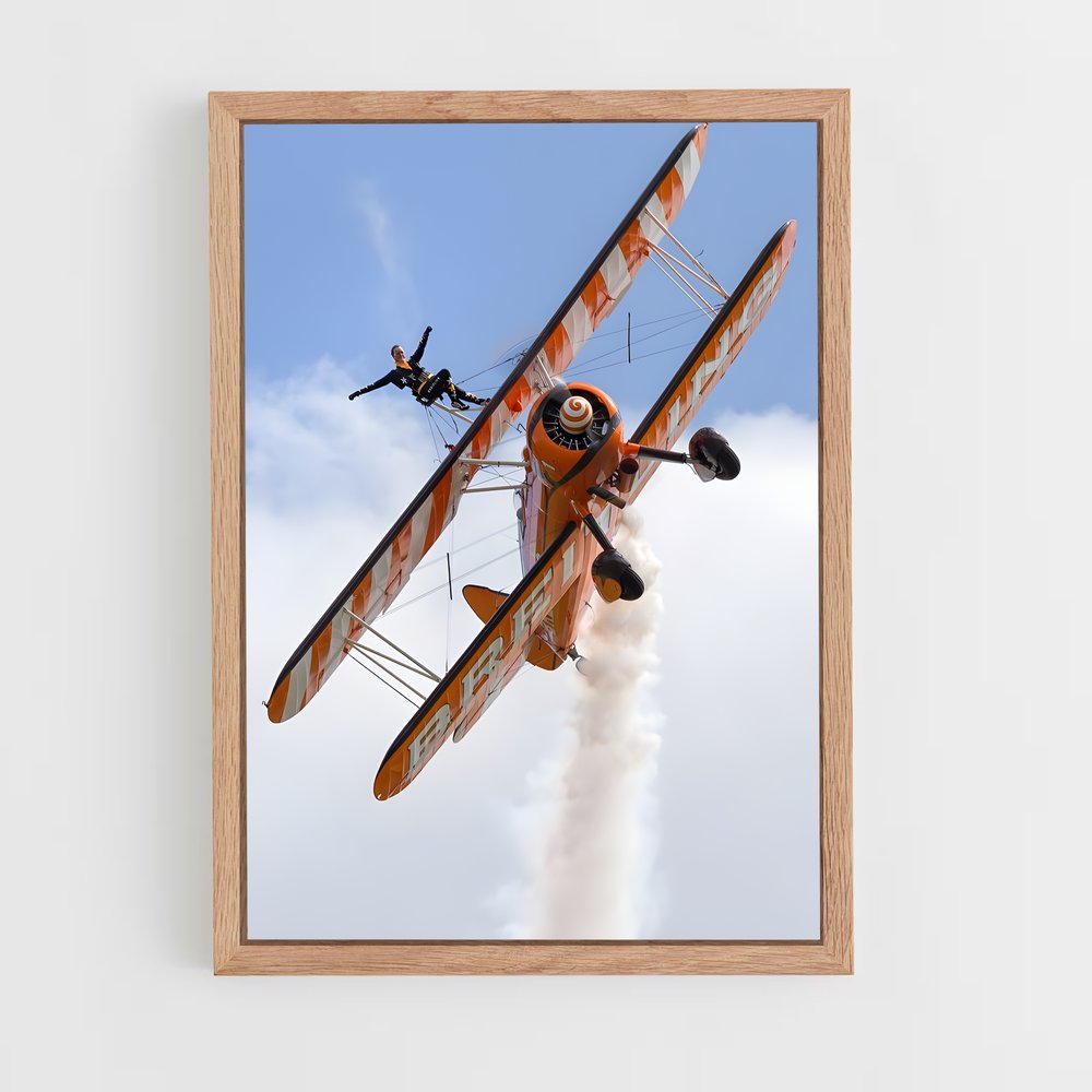 ap-biplanes-2 cadre Bois clair