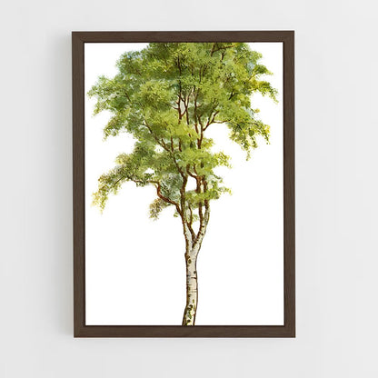 ap-birch-3 cadre Bois foncé