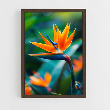ap-bird of paradise-1 cadre Bois foncé