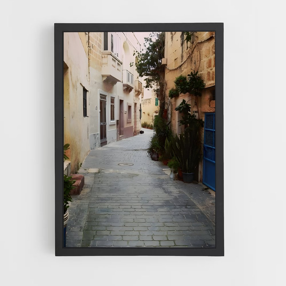 ap-birkirkara-2 cadre Noir