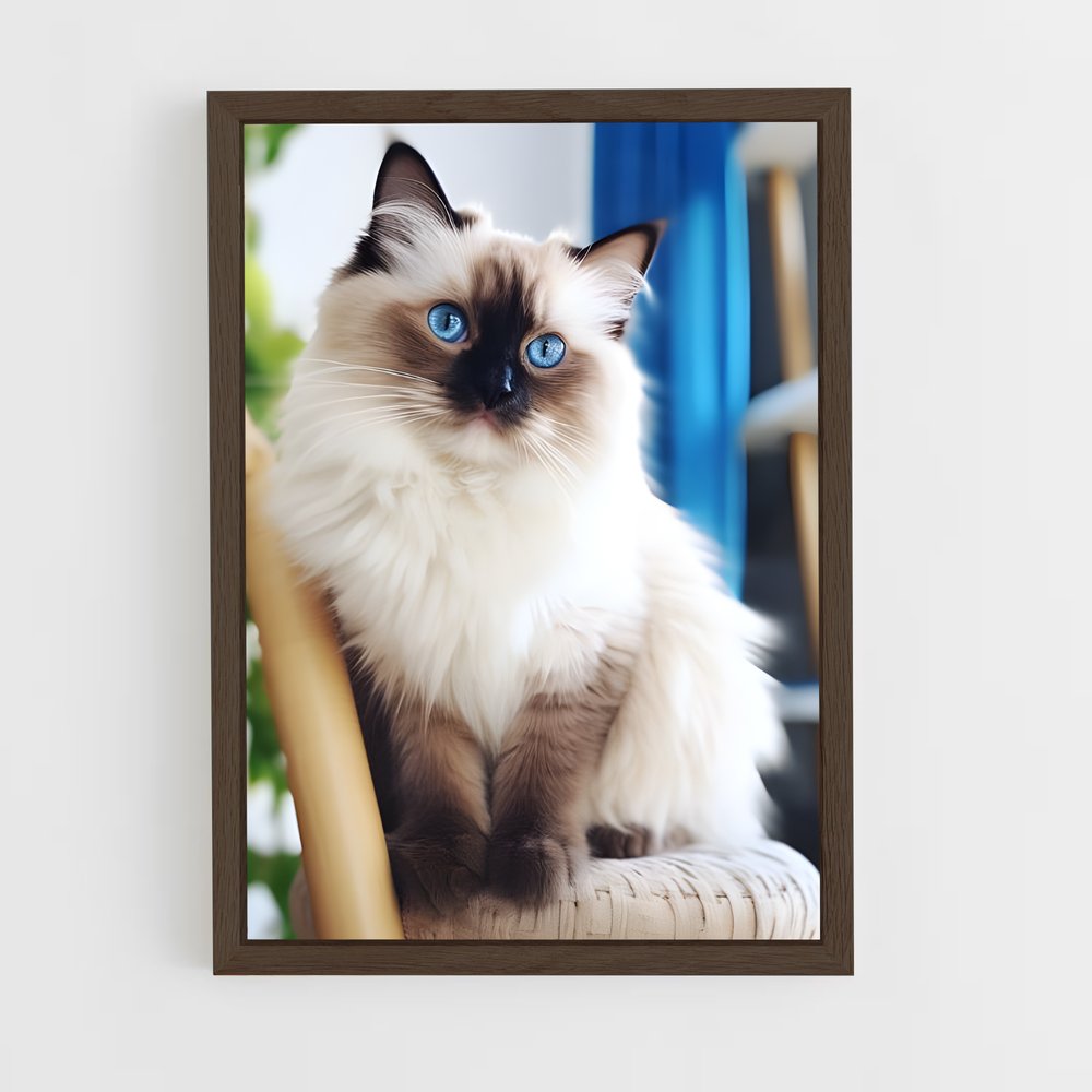ap-birman-1 cadre Bois foncé