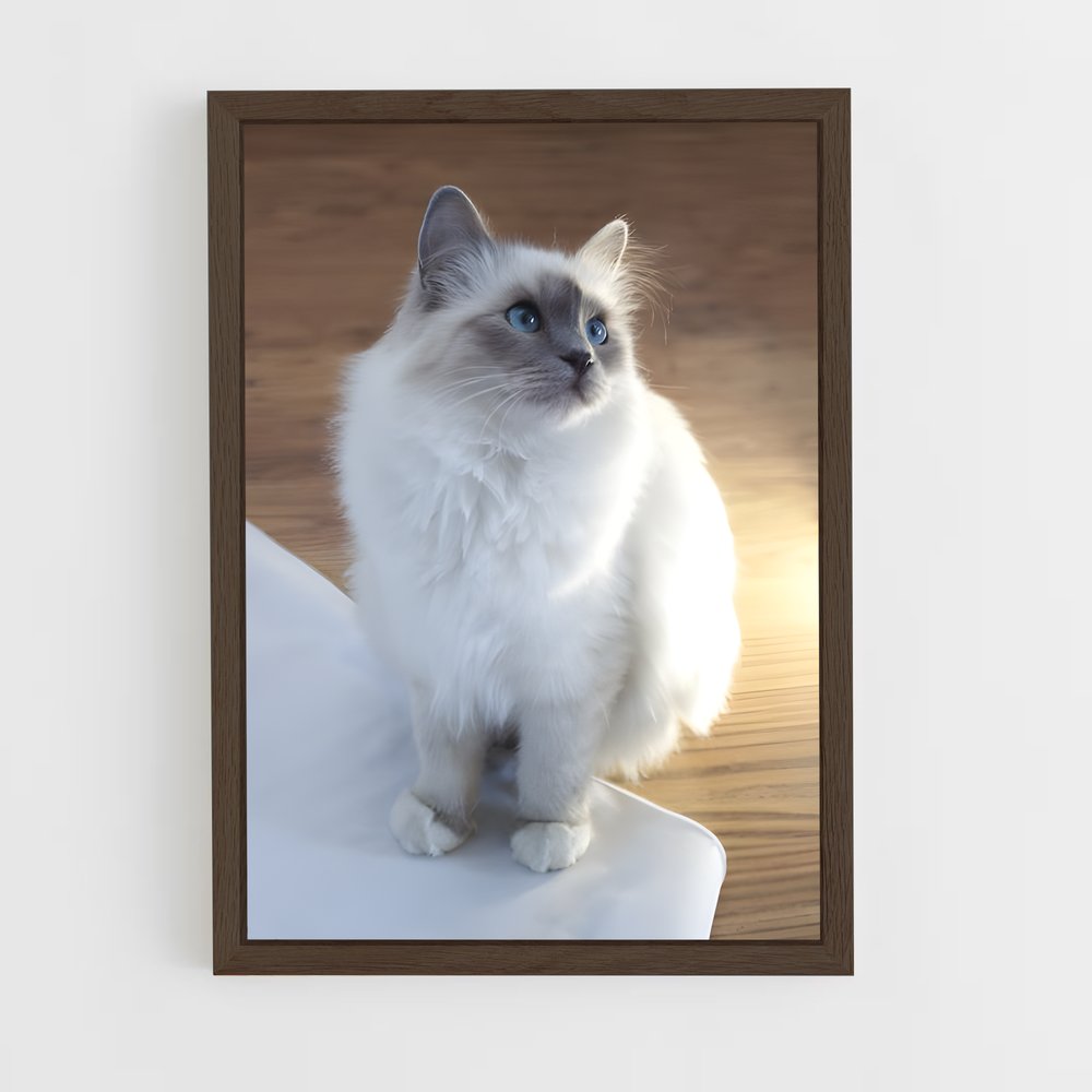 ap-birman-3 cadre Bois foncé