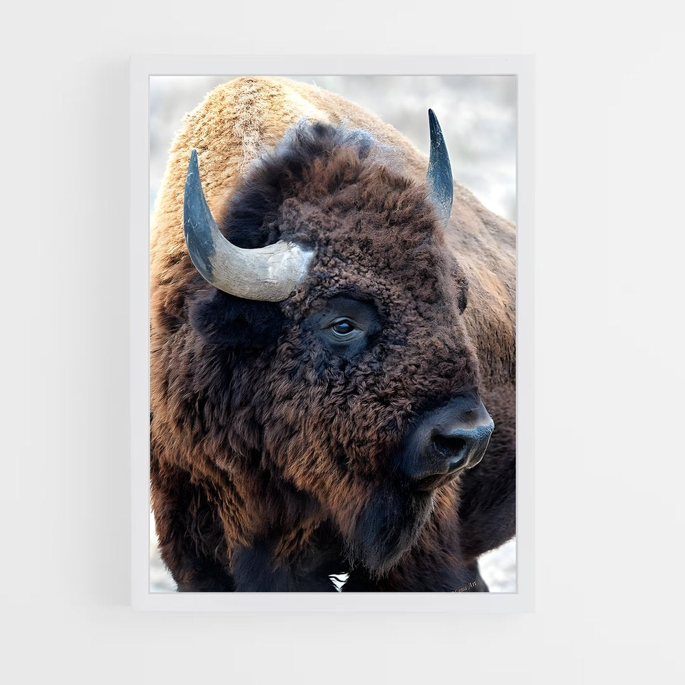 ap-bison-1 cadre Blanc