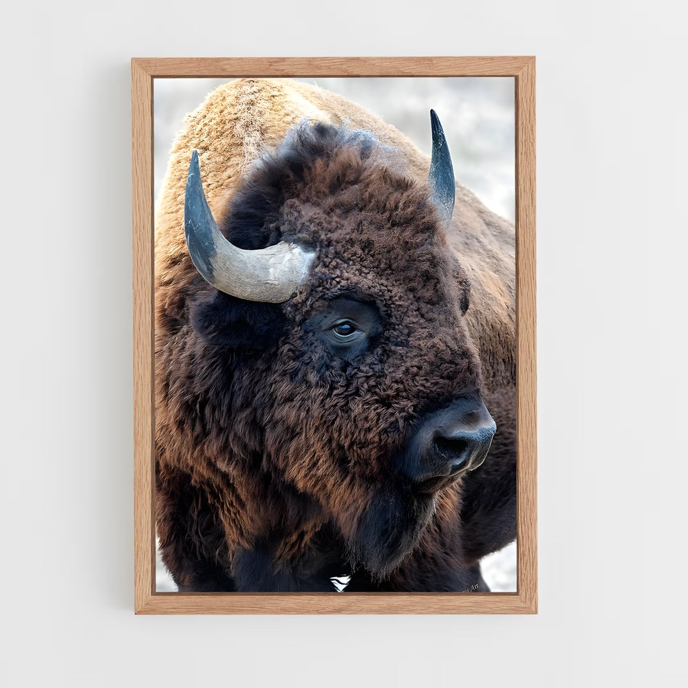 ap-bison-1 cadre Bois clair