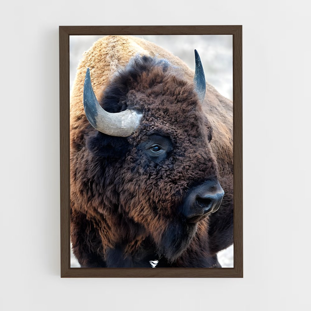 ap-bison-1 cadre Bois foncé