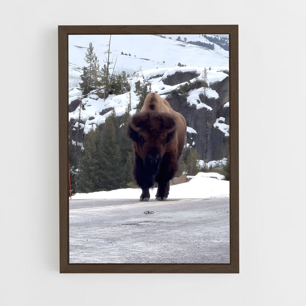 ap-bison-2 cadre Bois foncé