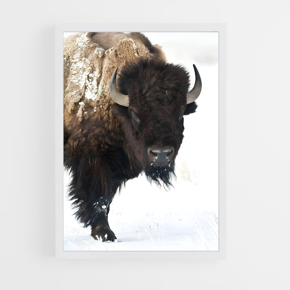 ap-bison-5 cadre Blanc