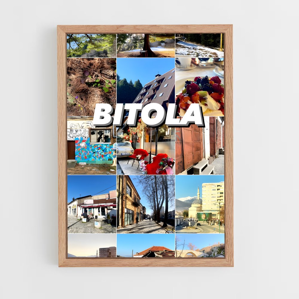 ap-bitola-1 cadre Bois clair