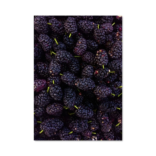 Poster Baies Noires