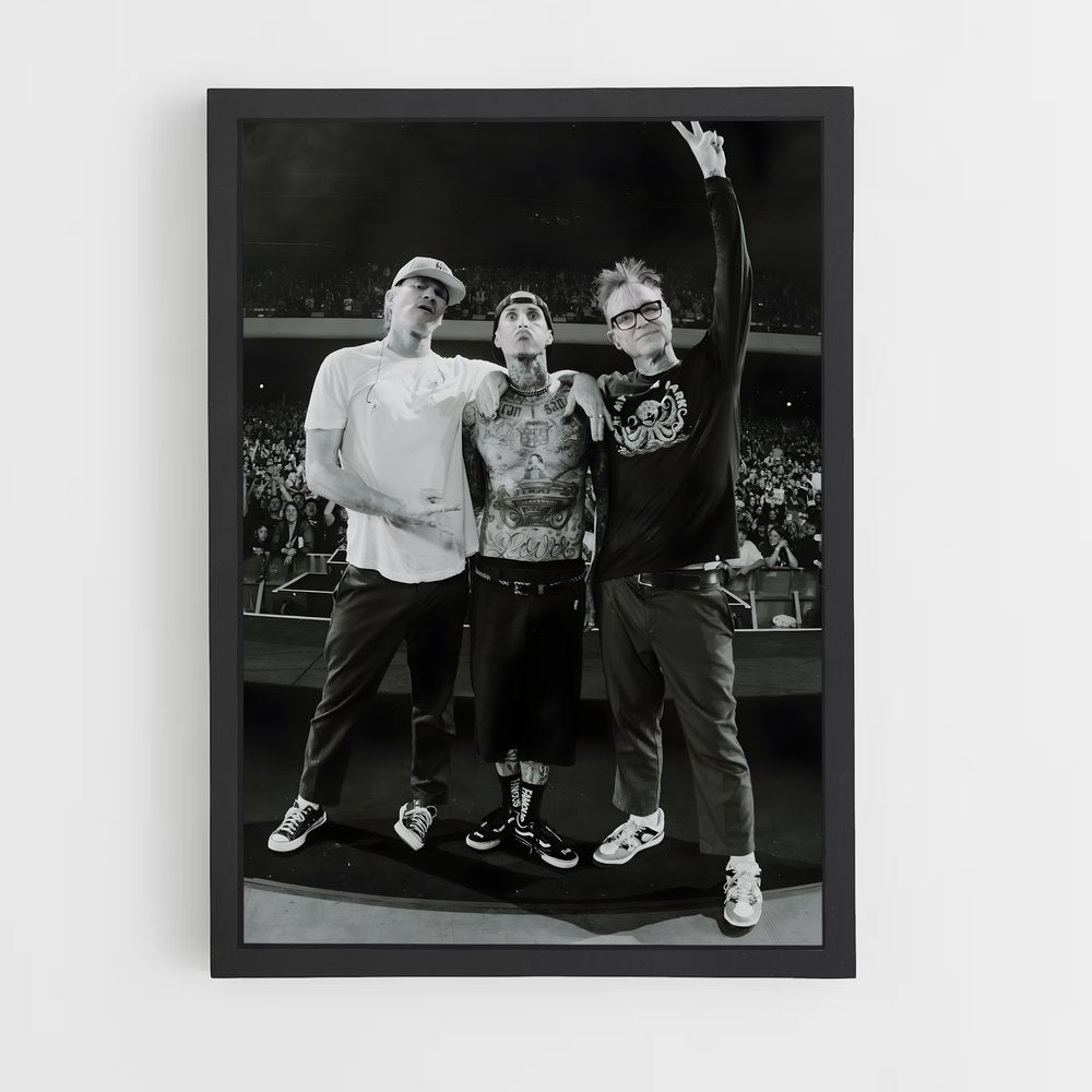 ap-blink-182-1 cadre Noir