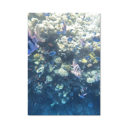 Poster Blue hole dahab egypt 67490