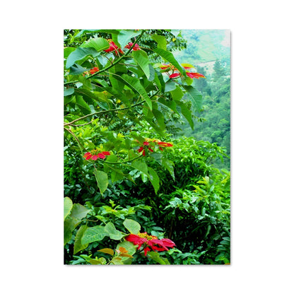 Poster Fleur de Jungle