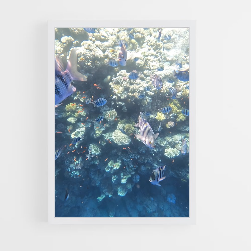 ap-blue hole dahab egypt-2 cadre Blanc