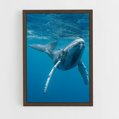 ap-blue whale-1 cadre Bois foncé