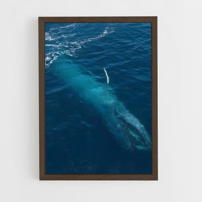ap-blue whale-3 cadre Bois foncé