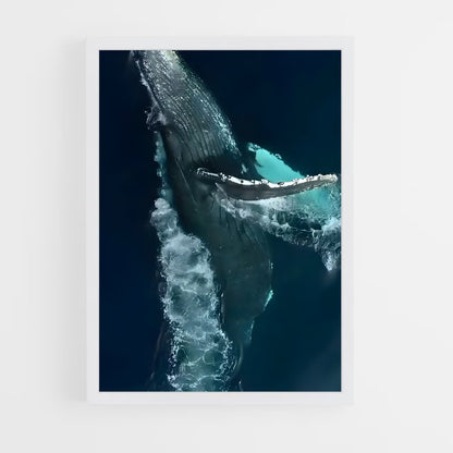 ap-blue whale-5 cadre Blanc