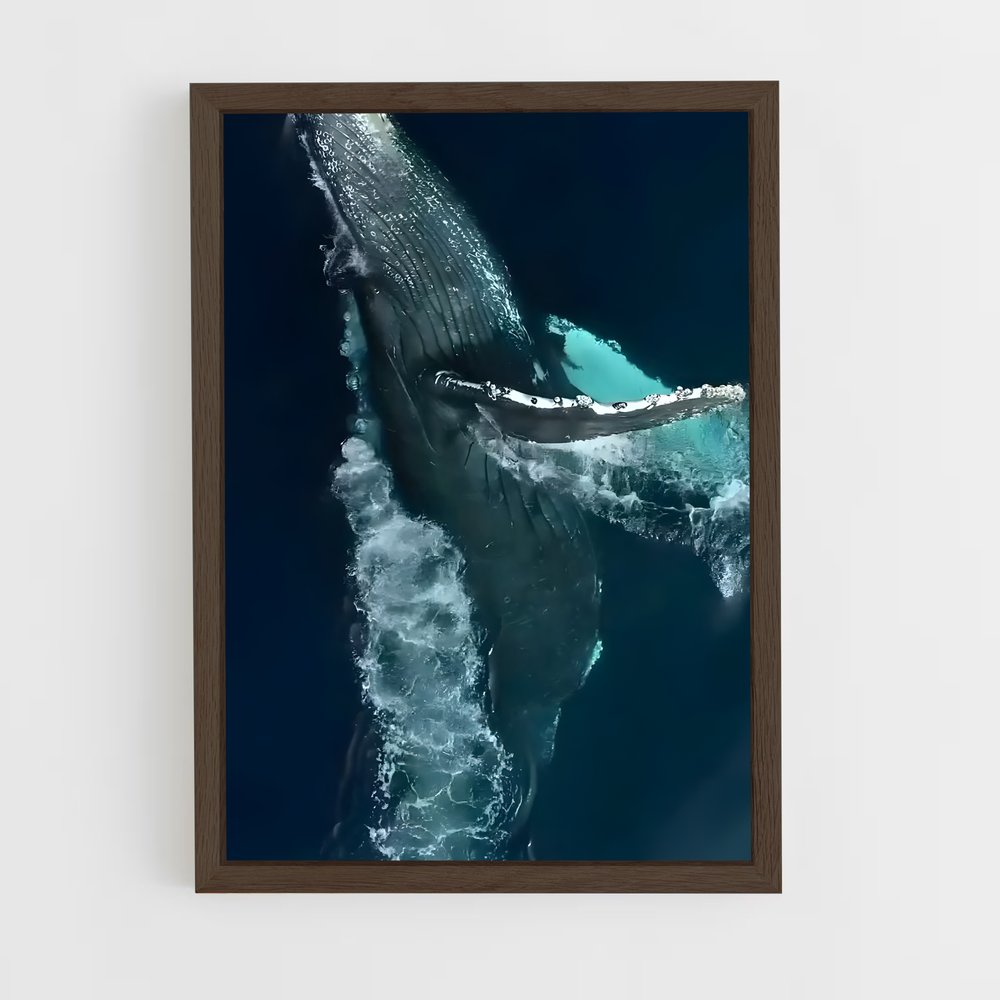 ap-blue whale-5 cadre Bois foncé
