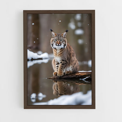 ap-bobcat-5 cadre Bois foncé