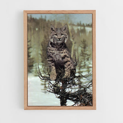 ap-bobcat-9 cadre Bois clair