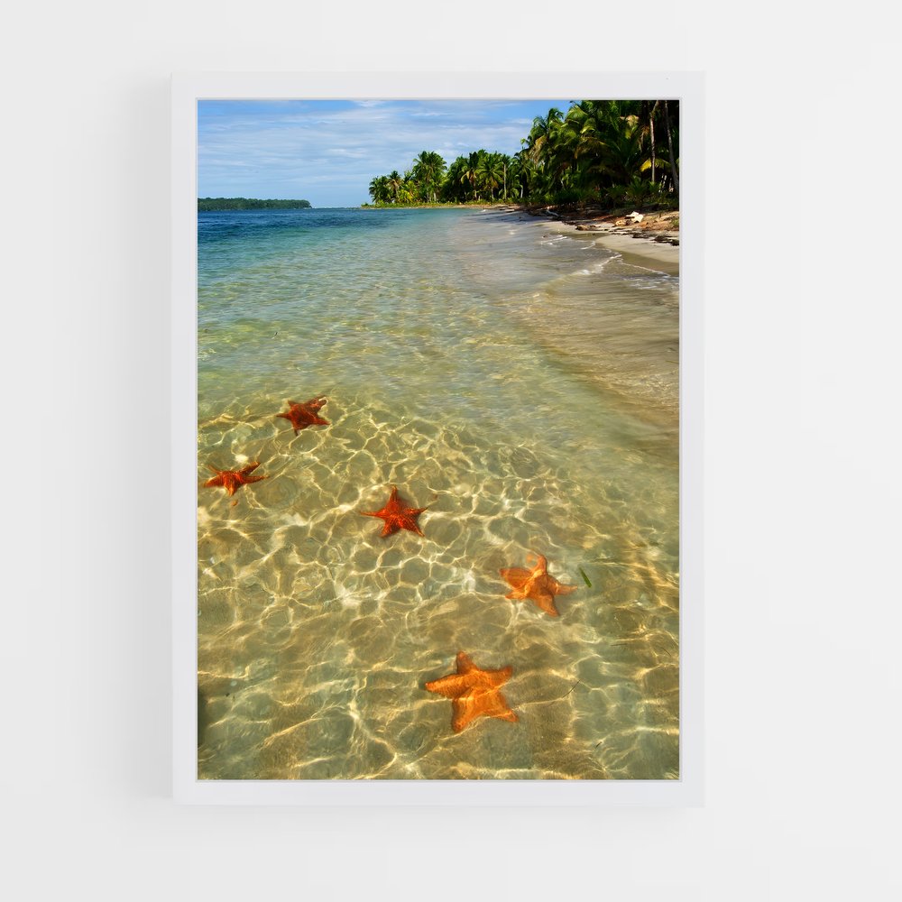 ap-bocas del toro-4 cadre Blanc