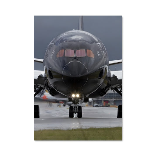 Poster Takeoff Majestueux