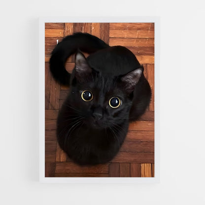ap-bombay-4 cadre Blanc