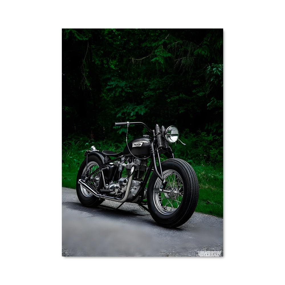 Poster Bonneville bobber 82780