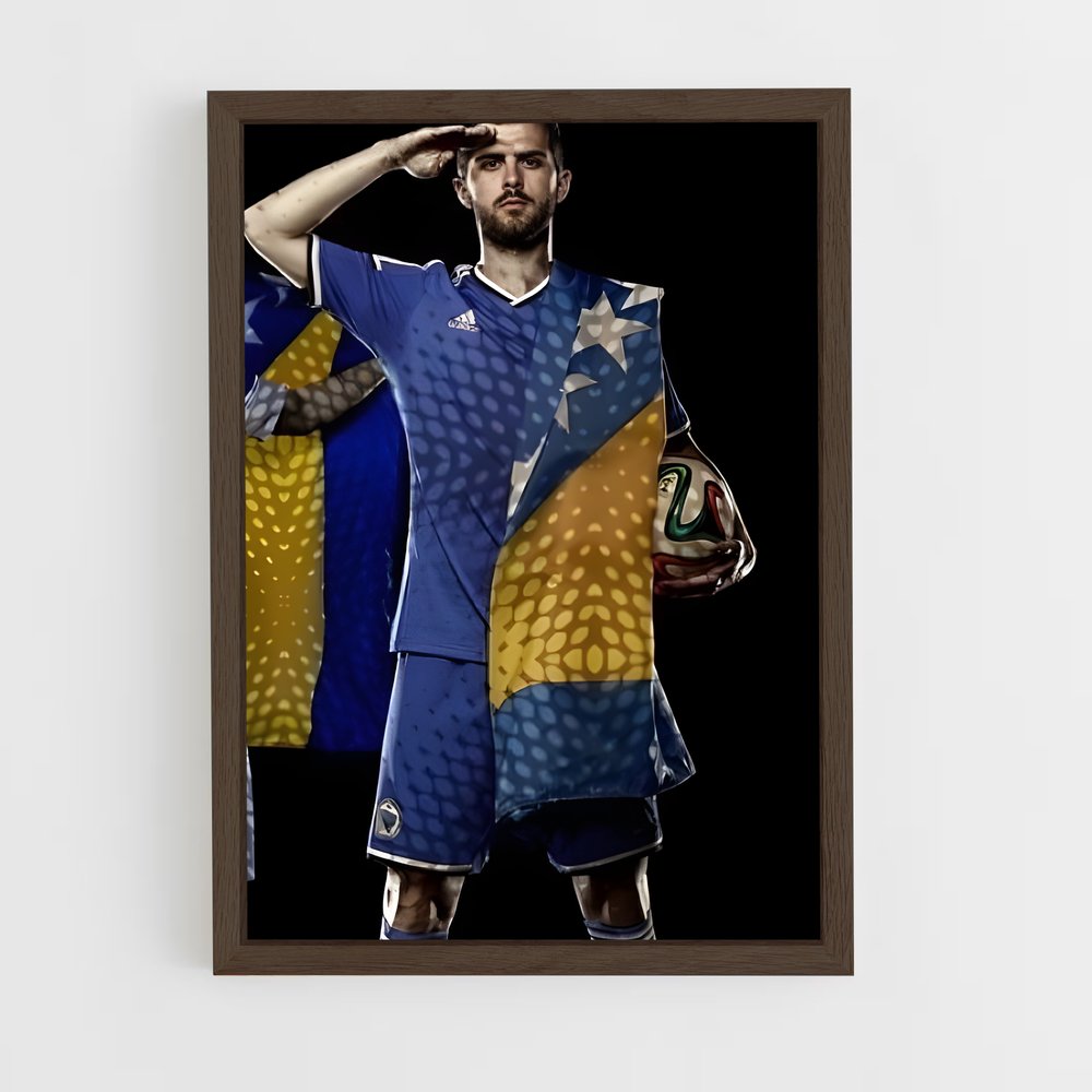 ap-bosnia herzegovina national football team-2 cadre Bois foncé