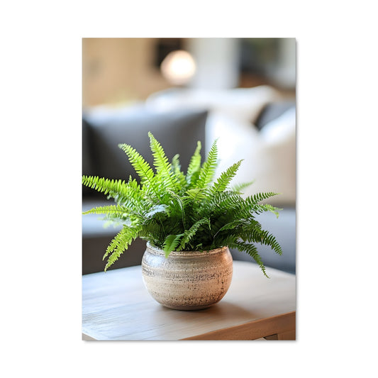 Poster La Ferme de Boston