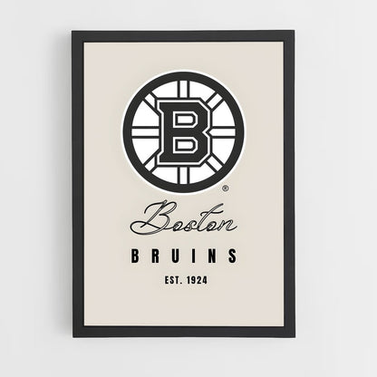 ap-boston bruins-5 cadre Noir