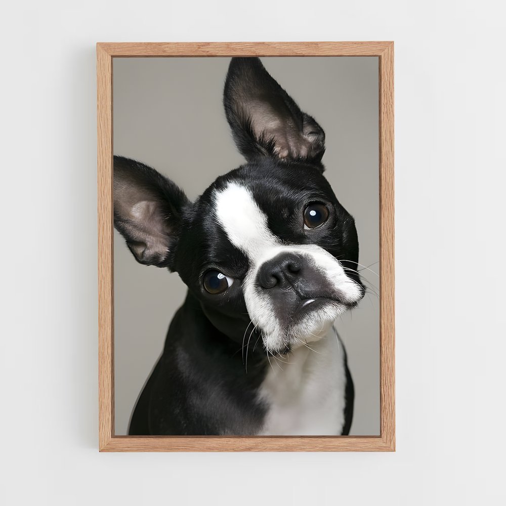 ap-boston terrier-1 cadre Bois clair