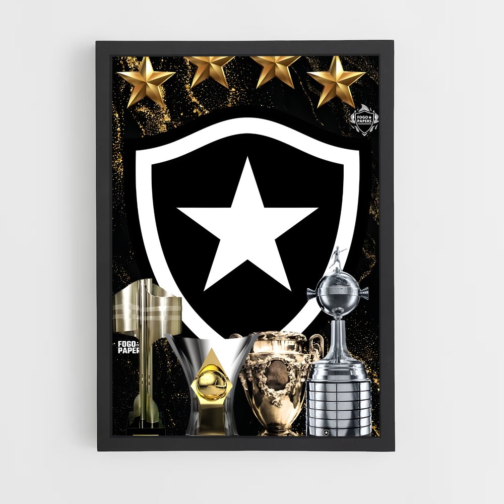 ap-botafogo de futebol e regatas-1 cadre Noir