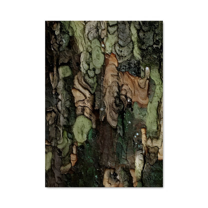 Poster Tronc de Vie