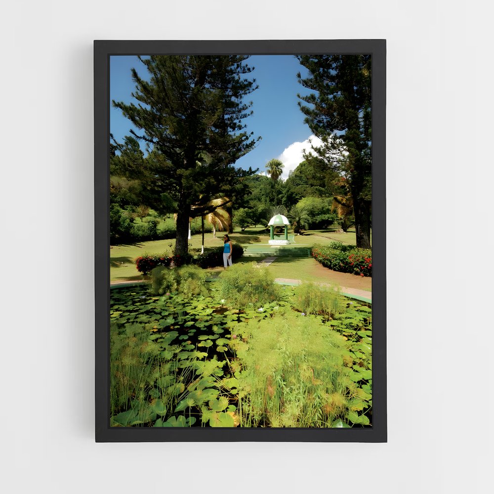 ap-botanical gardens kingstown-2 cadre Noir