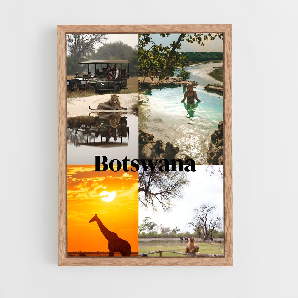 ap-botswana-1 cadre Bois clair