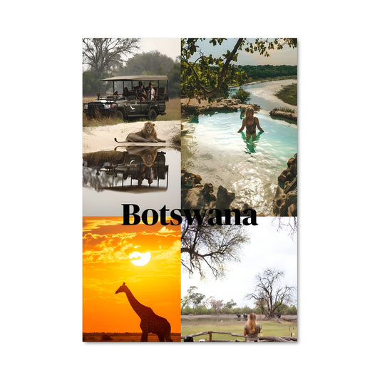 Poster Safari Évasion