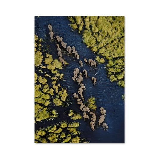 Poster Traversée des Élégants