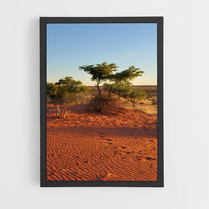 ap-botswana-4 cadre Noir