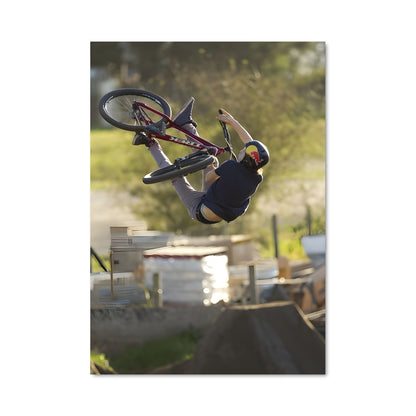 Poster Tricks et Passion