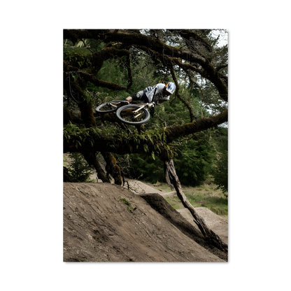 Poster Brandon semenuk 65032