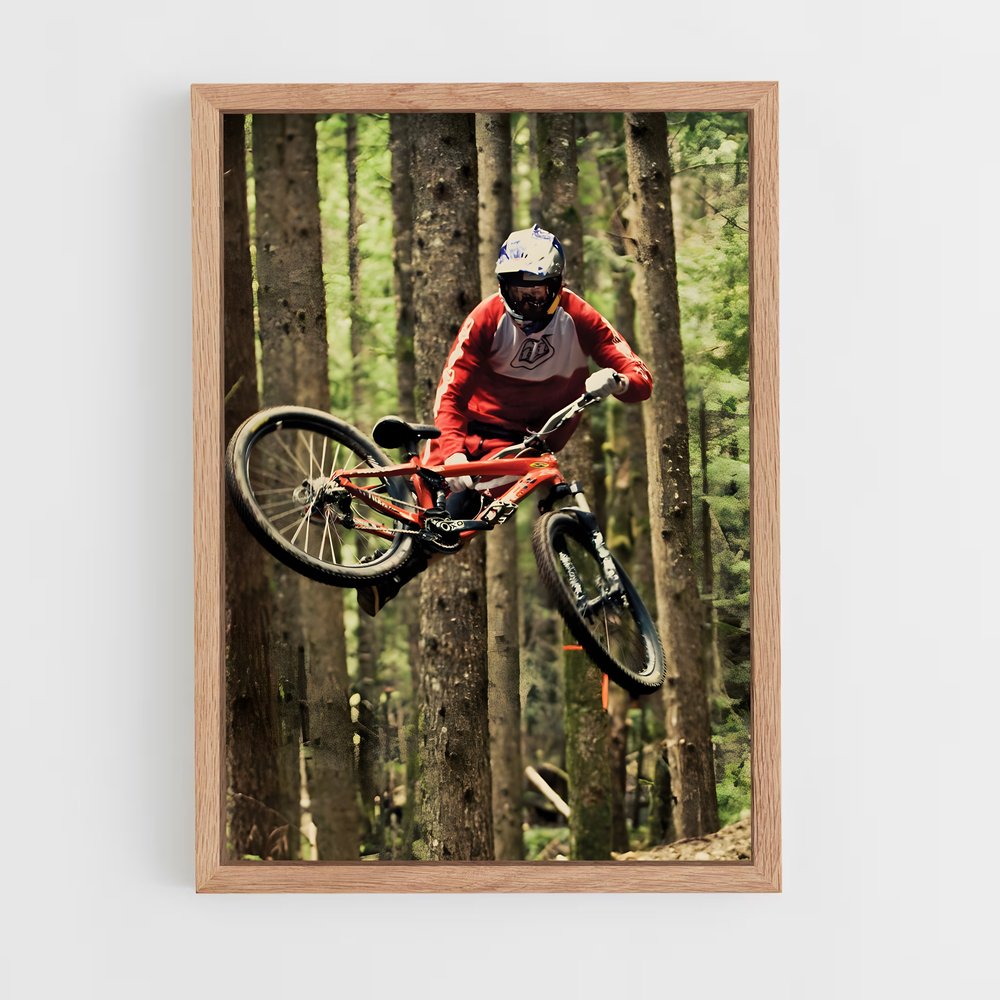 ap-brandon semenuk-12 cadre Bois clair