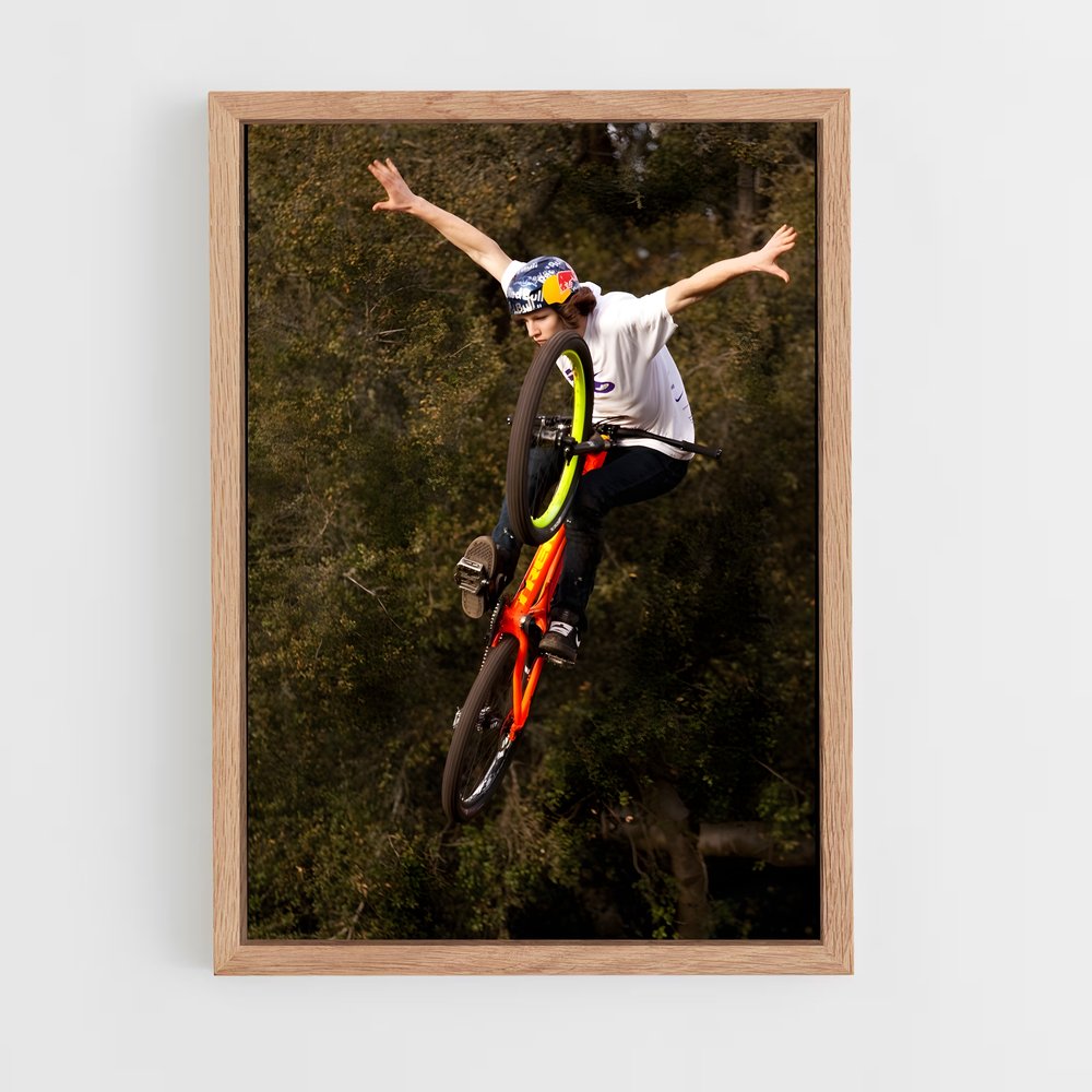 ap-brandon semenuk-6 cadre Bois clair