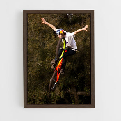 ap-brandon semenuk-6 cadre Bois foncé
