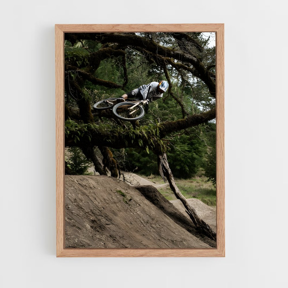 ap-brandon semenuk-8 cadre Bois clair