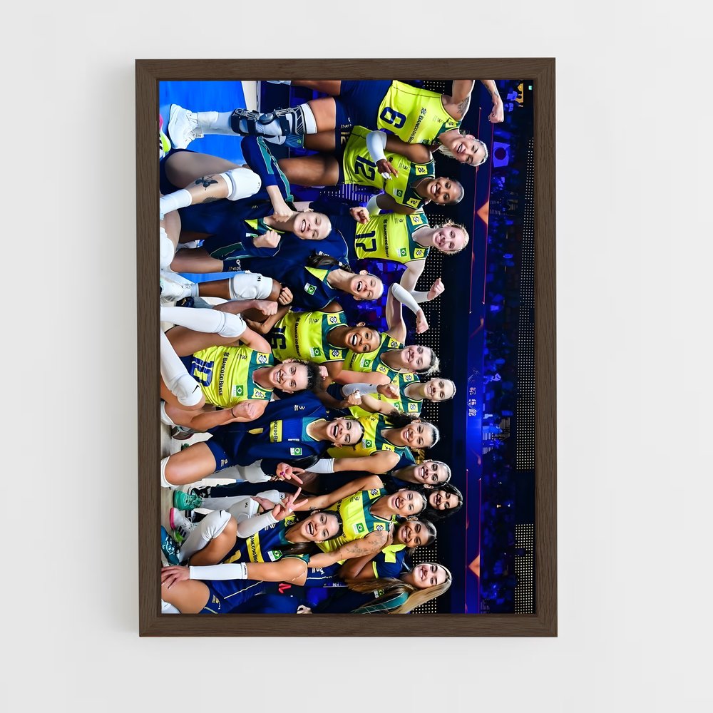 ap-brazil national volleyball team-6 cadre Bois foncé