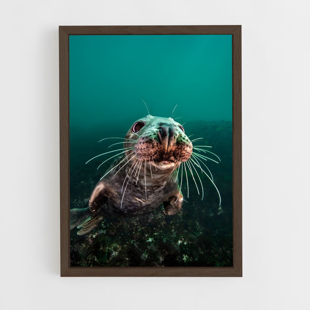 ap-brian skerry-1 cadre Bois foncé